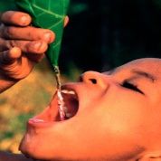 ONU-DAES insta a los gobiernos del mundo a garantizar el acceso al agua potable