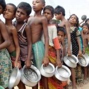 ¿Es inevitable la hambruna mundial?