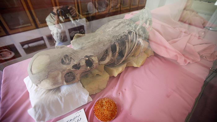 Las momias también sufren las consecuencias de la guerra. La falta de electricidad y conservantes químicos favorecen a su deterioro.