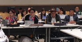 Indigenous women expressing their rights in international debates, April 24, 2024